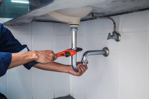 Best Plumbing Inspection Services  in Seaford, DE